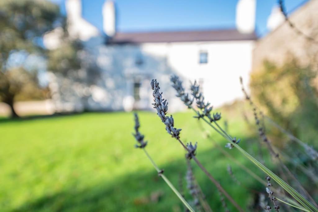 Georgian Country House -Panoramic Views -Sleeps 12 Ruthin Exteriér fotografie