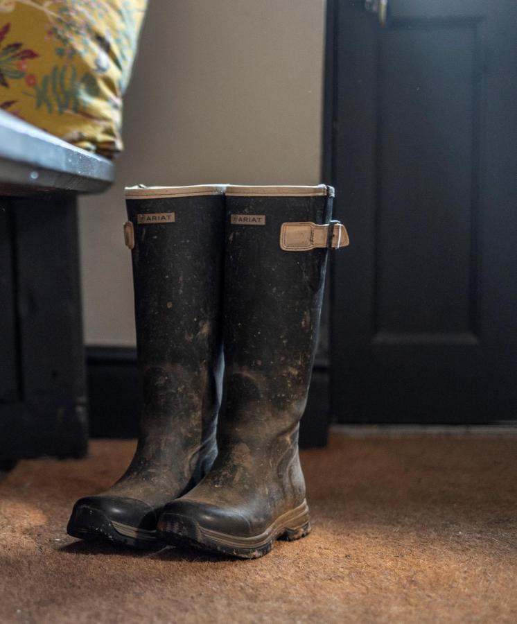 Georgian Country House -Panoramic Views -Sleeps 12 Ruthin Exteriér fotografie